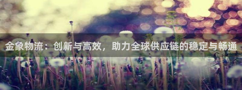 多多28登录用户名登录不上：金象物流