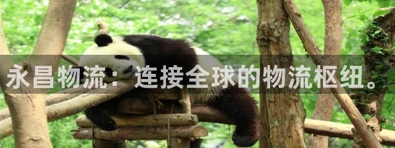 加拿大多多28是什么：永昌物流：连接