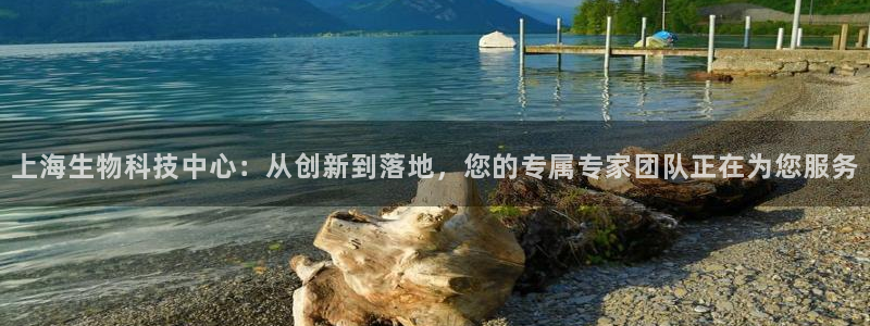 多多28官网入口pc29官网版下载：