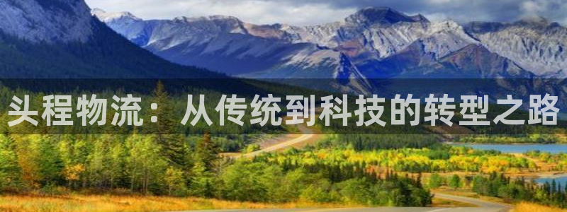 多多28官网入口