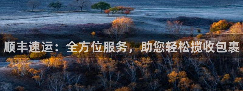多多28加拿大技巧：顺丰速运：全方位