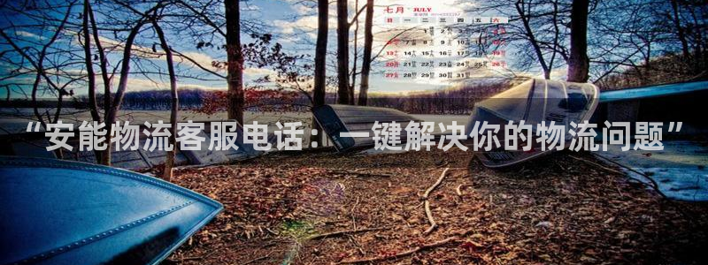 多多28南宫娱乐官网：“安能物流客服