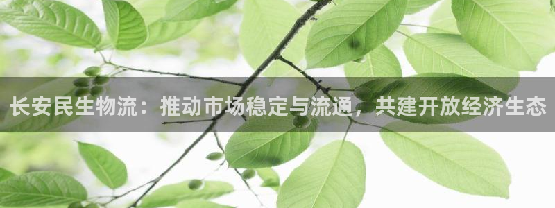 多多28官网下载链接：长安民生物流：