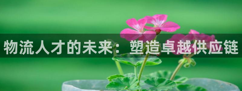 多多28怎么注册：物流人才的未来：塑