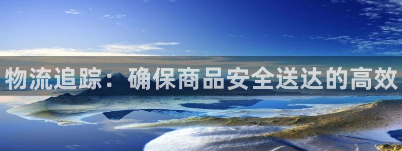 多多28软件是什么：物流追踪：确保商