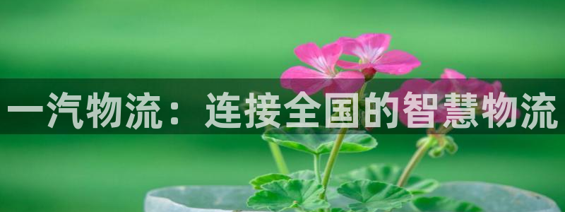 多多28官网入口pc预测：一汽物流：