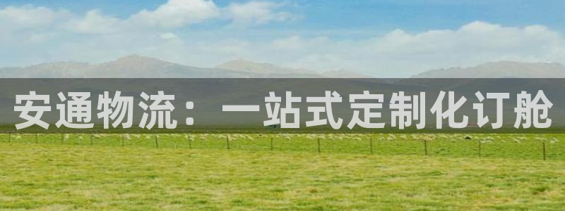多多28加拿大28：安通物流：一站式