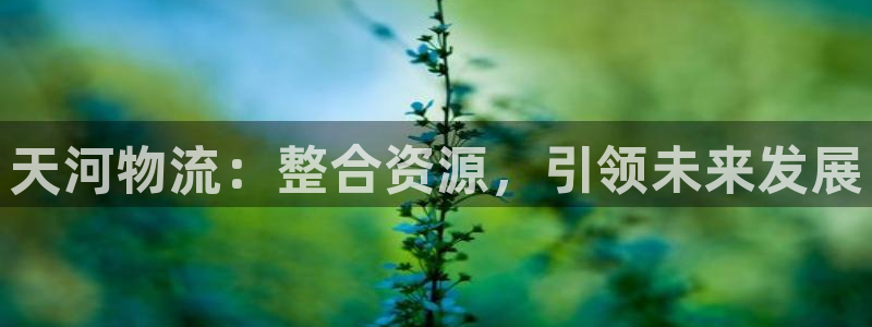 多多28注册登录:天河物流:整合资源