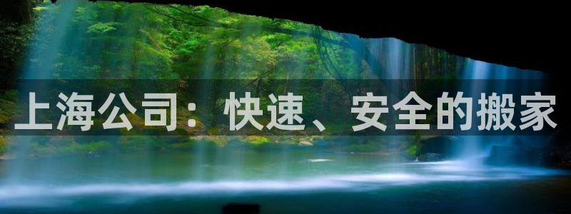 多多28加拿大走势：上海公司：快速、