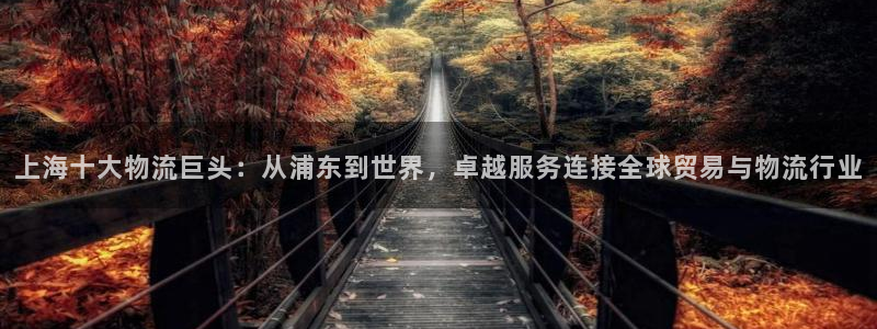 多多28如何看012路计划：上海十大