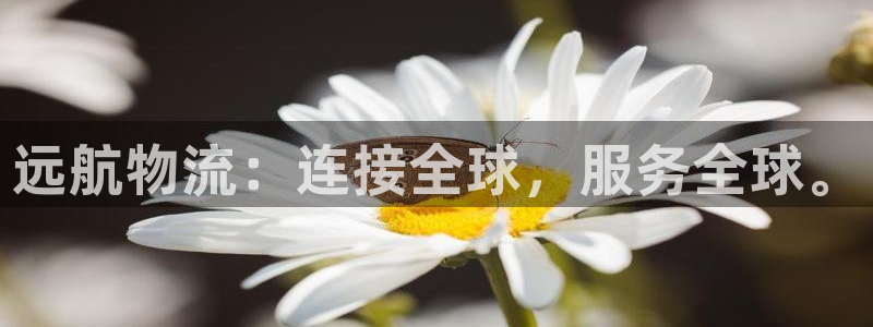多多28注册问一问：远航物流：连接全