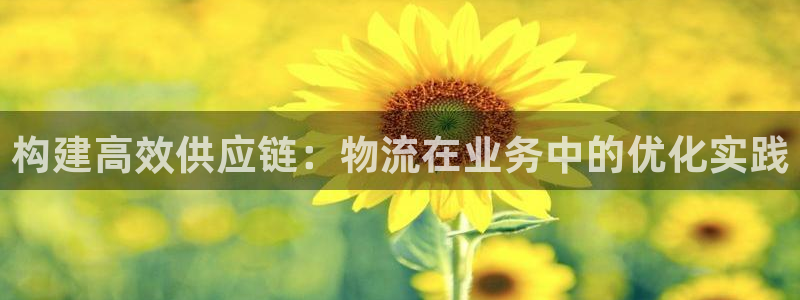 多多28赌博软件正规吗：构建高效供应
