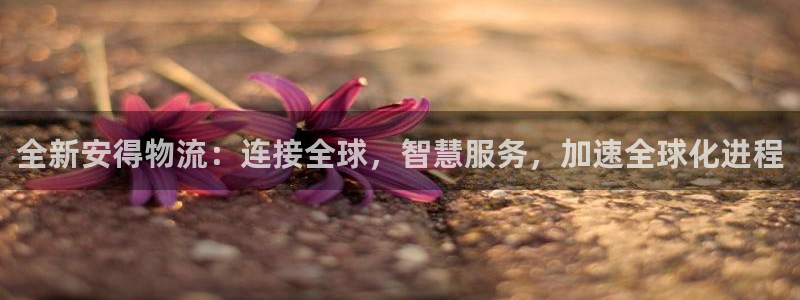 多多28反水怎么算：全新安得物流：连