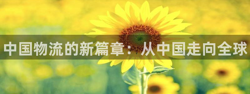 多多28加拿大能提现吗：中国物流的新