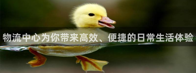 多多28：物流中心为你带来高效、便捷