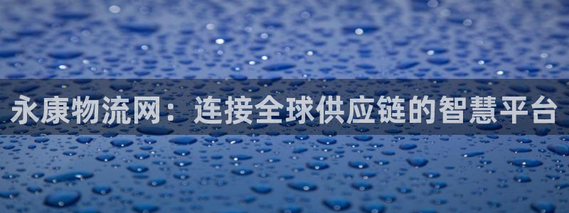 多多28加拿大28：永康物流网：连接