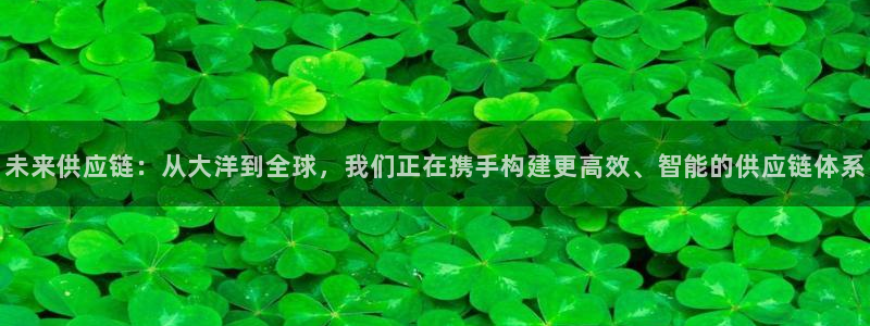 多多28登录网：未来供应链：从大洋到