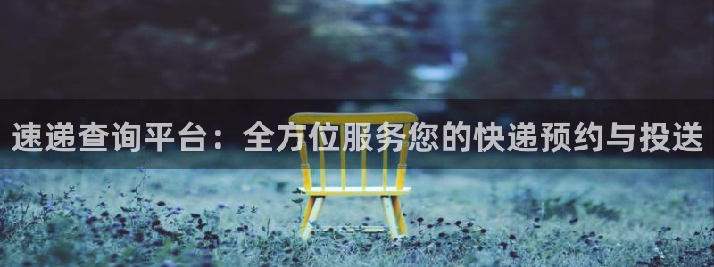 多多28提现不到账：速递查询平台：全方位服务您的快递预约与投