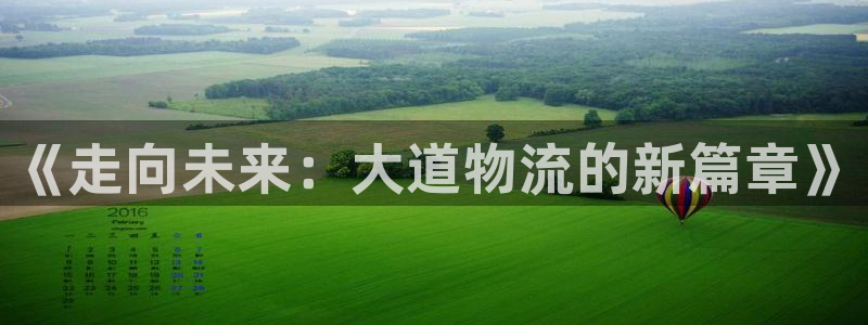 多多28技巧：《走向未来：大道物流的