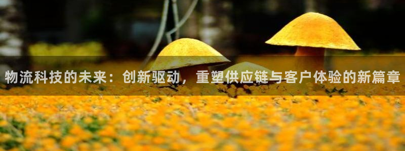 多多28忘记账号：物流科技的未来：创