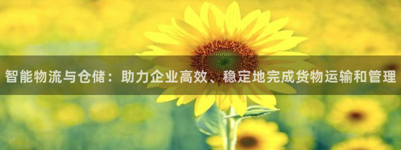 多多28模拟器在线使用：智能物流与仓