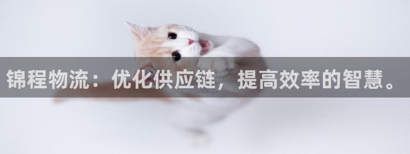 多多28怎么下载