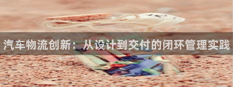 多多28加拿大官网：汽车物流创新：从设计到交付的闭环管理实践